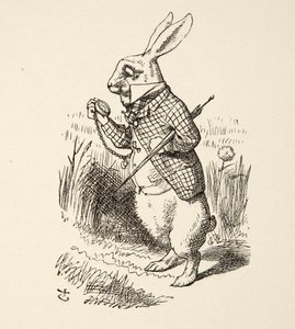 The White Rabbit, from Alice
